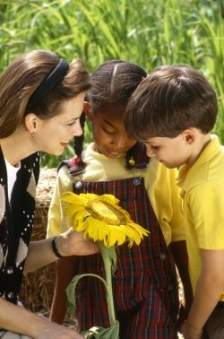 Gardening as an effective teaching tool